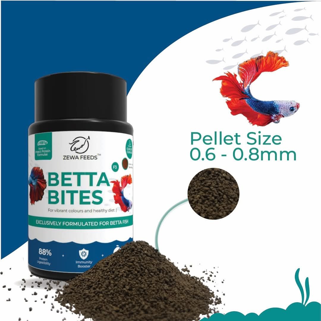 Zewa Feed Aquarium Fish Food