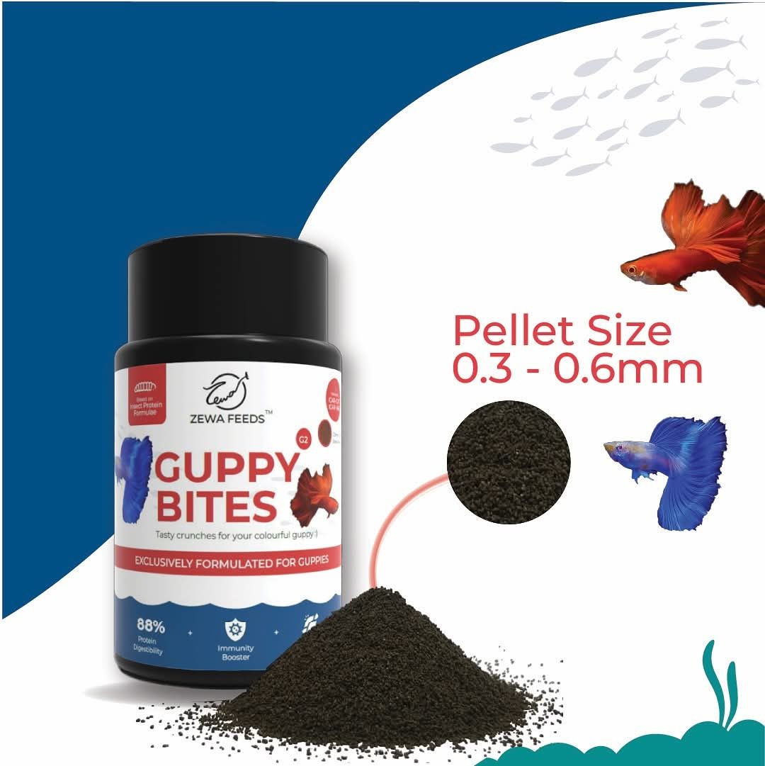 Zewa Feed Aquarium Fish Food