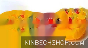 Duck Chu Chu Sound Bathtub Toys for Toddler Kids (