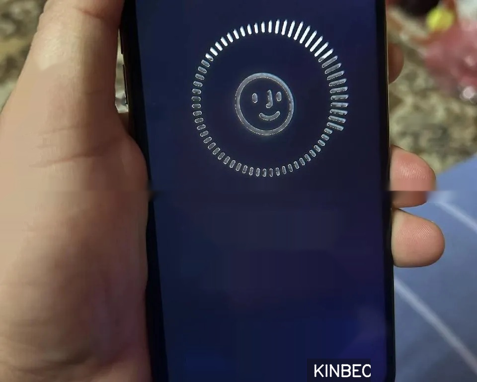 iphone 11pro Max 256Gb