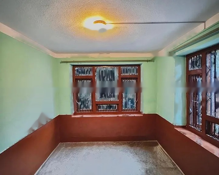 for rent flat sanepa