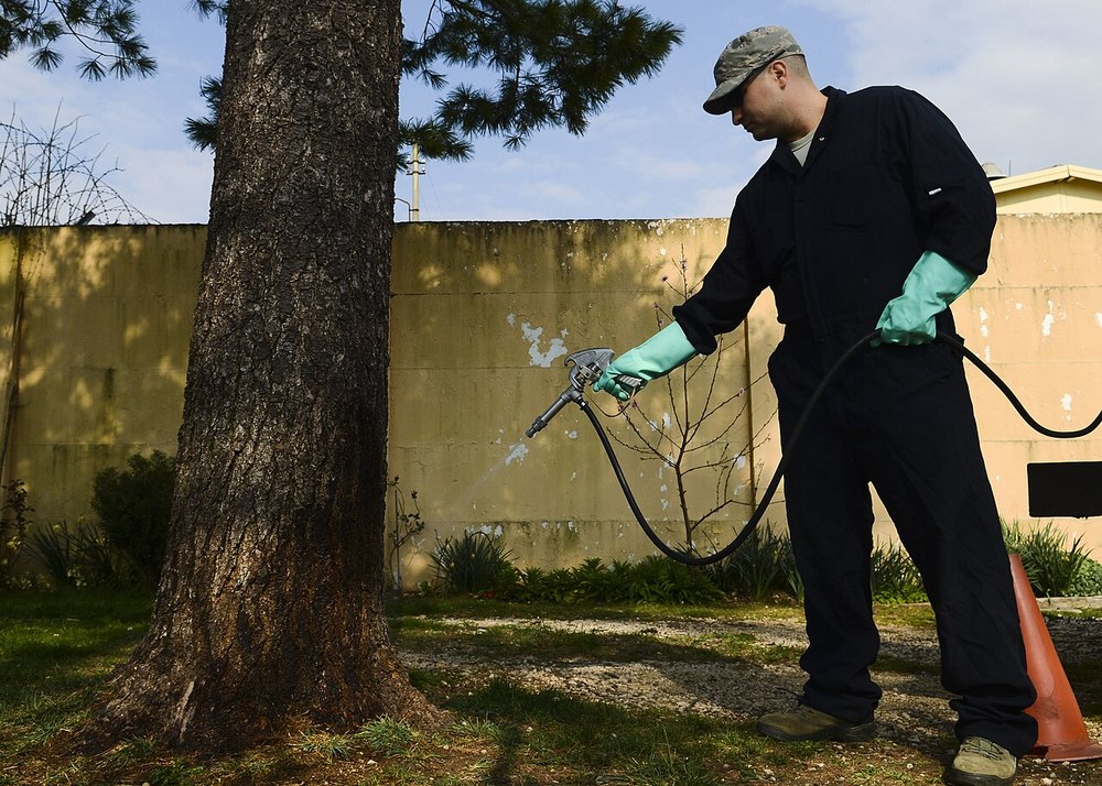 Pest Control & Fumigation Service - Kathmandu